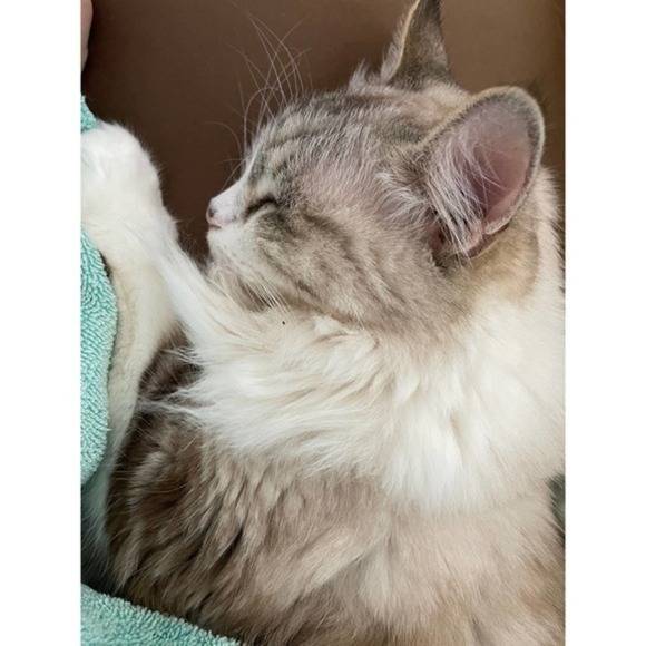 Vintage Tan Acrylic With Tinsel Glitter Hook Handle Mid Century Pagoda Umbrella - Picture 13 of 13